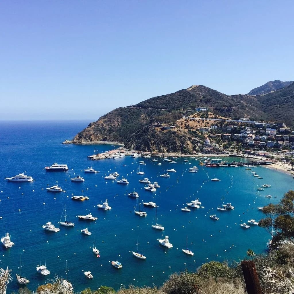 Garage Door Services in Fullerton, California | Urgent Garage Doors